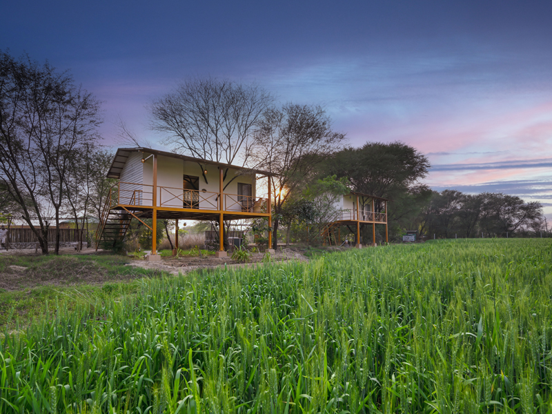 Ranthambore Wildlife Resorts